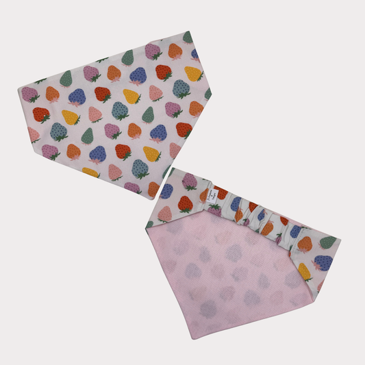 Dog Bandanas - Colourful Strawberry