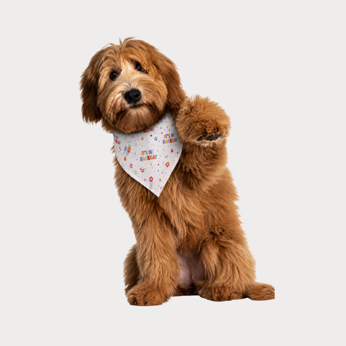 Dog Bandanas - It's my barkday